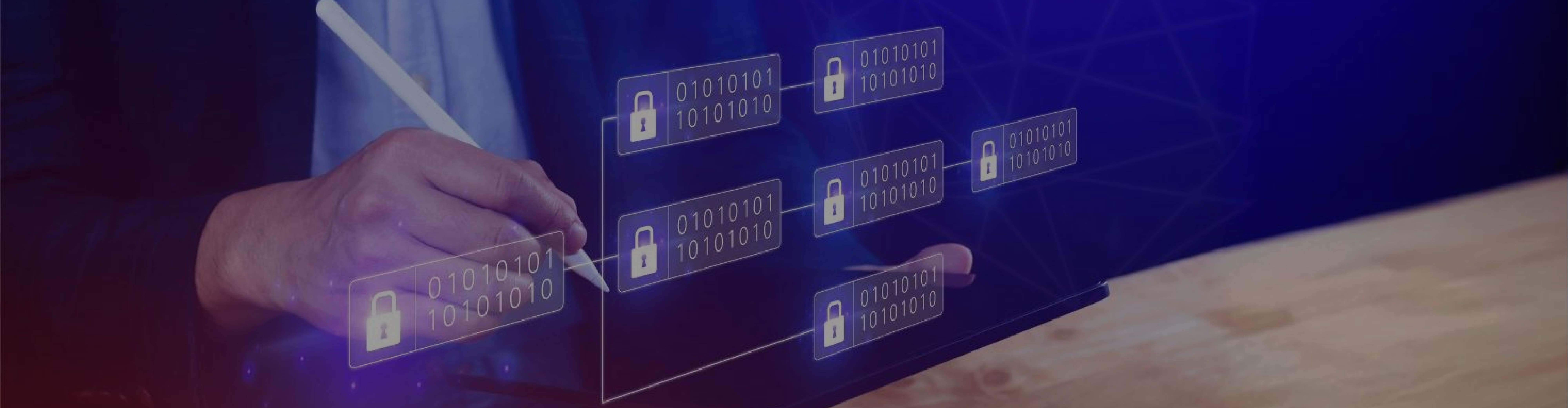 Seguridad de *la información*